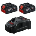 Bosch GAL 1880 CV Charger + 2 x GBA 18V 5.0Ah Spare Battery